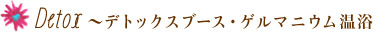 �ǥȥå����֡���������ޥ˥��ಹ��