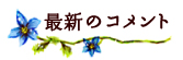 最新のコメント