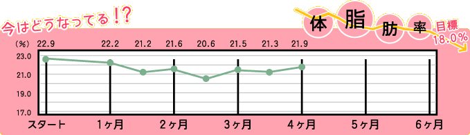 体脂肪率グラフ